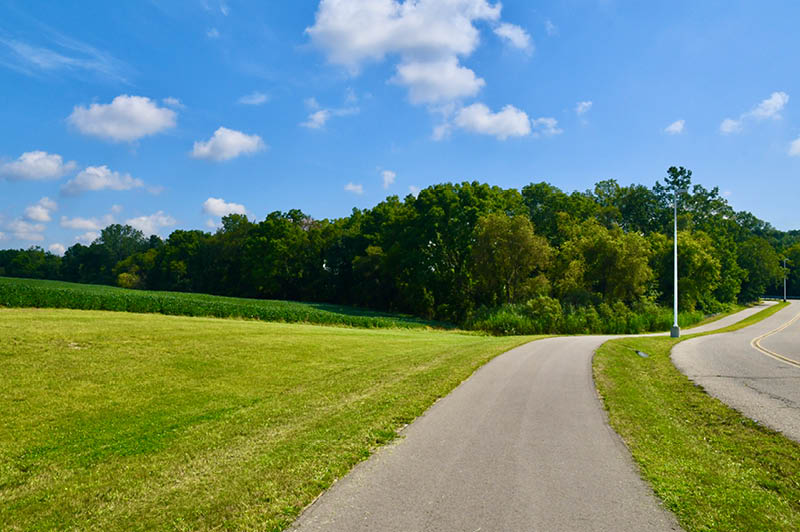LAFF Pathway